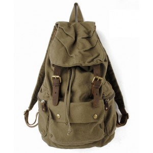 Student backpack, traveling backpacks